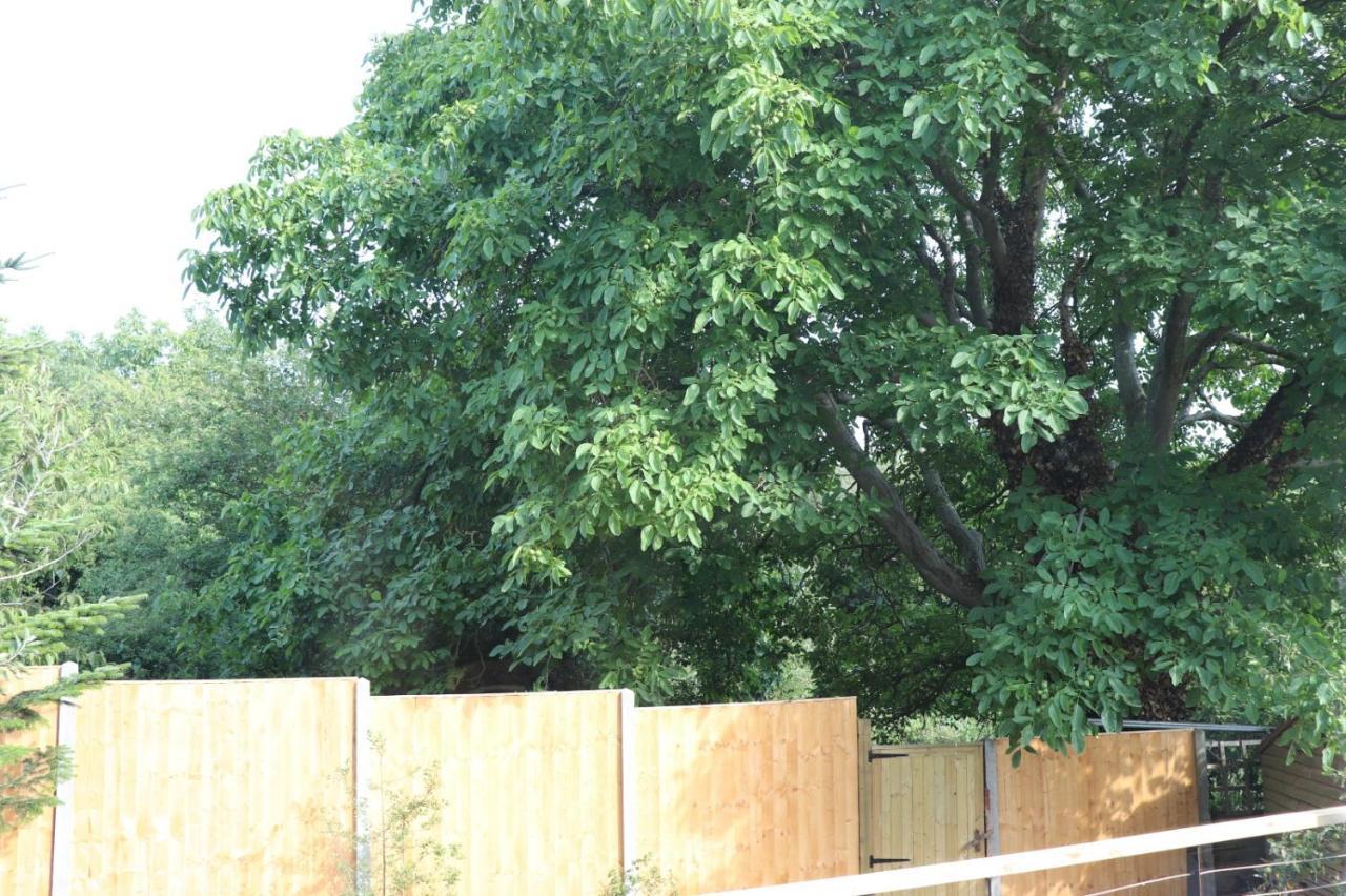 牛津Walnut Tree View别墅 外观 照片